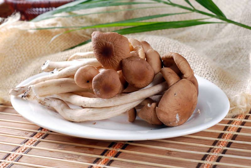 大闸蟹的吃法步骤 大闸蟹专业吃法分12步