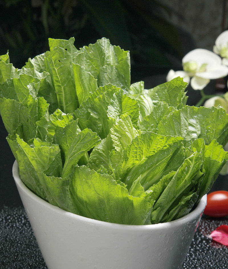 俄罗斯烘焙商标 俄罗斯食品商标